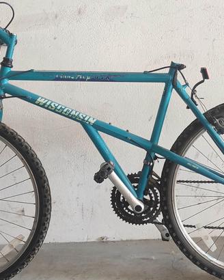 MOUNTAIN BIKE 26