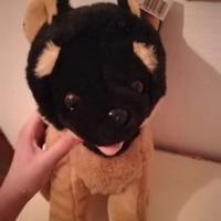 Peluche cane 
