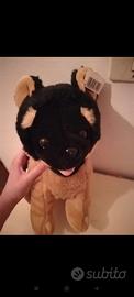 Peluche cane 