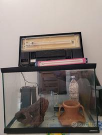 ACQUARIO PESCI / TECA