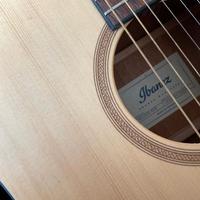 🎸 Ibanez PF10CE-OPN Chitarra Electroacustica