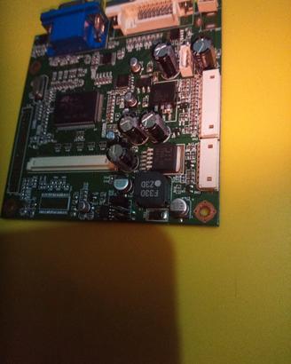 Scheda video vga dvi