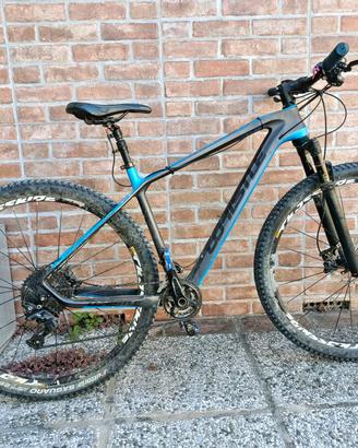 MTB Whistle Guaporè Carbon (Shimano XT)