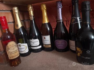 Stock 7 bottiglie vino/spumante/Champagne 