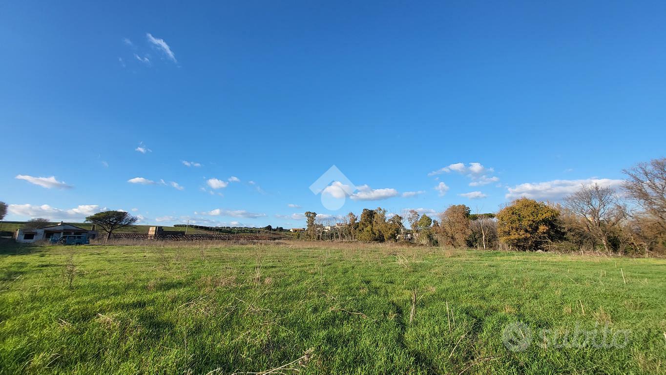 TERRENO A ARDEA - Altro