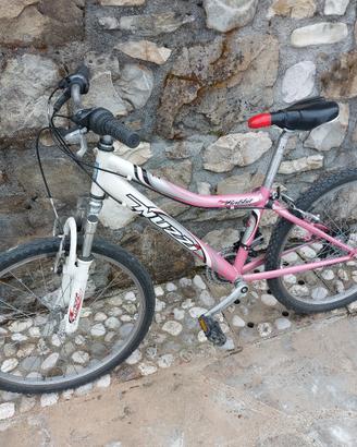 Bicicletta nuzzi 20 pollici