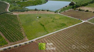 Vigneto di 3 ettari in zona DOC