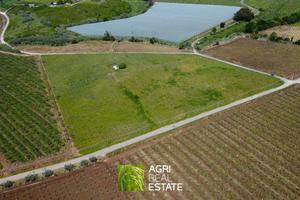 Vigneto di 3 ettari in zona DOC