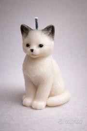 Candela gatto bianco e Grigio