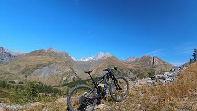 Urta Hybrid ebike