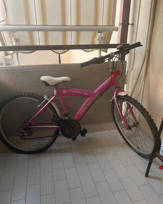 Bicicletta
