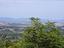 Immagine 14