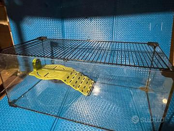 Acquario per tartarughe