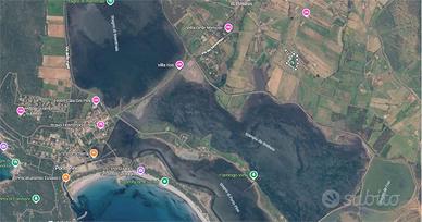 Stalla di 500 mq con 1 ettaro di terreno a pochi m