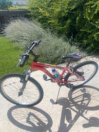 Bicicletta da ragazzo