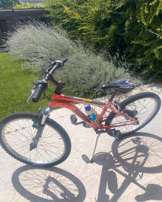Bicicletta da ragazzo