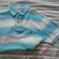 Polo Hollister originali