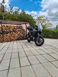 Tracer 7 GT Tech kamo