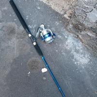 canna da pesca 