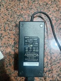 Caricabatteria bici elettrica