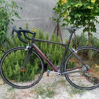 Bici Whistle corsa carbonio taglia S