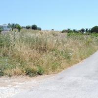Terreno a civitavecchia agricolo
