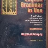 English Grammar in Use