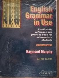 English Grammar in Use