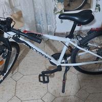 Mountain Bike RockRider