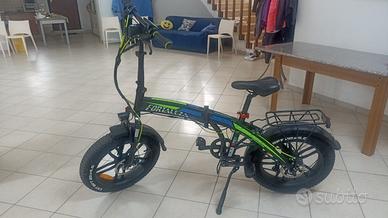 Bicicletta elettrica