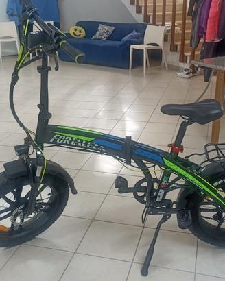 Bicicletta elettrica