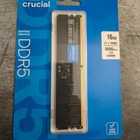 ram Crucial 16gb ddr5 5600 mhz
