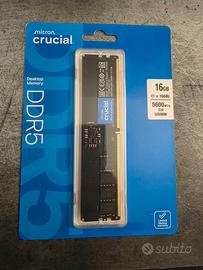 ram Crucial 16gb ddr5 5600 mhz