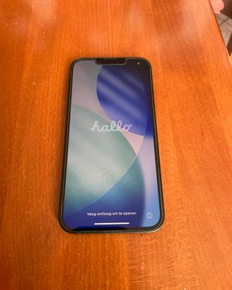 iPhone 13