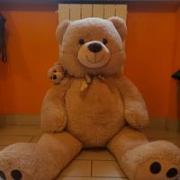 Teddy bear gigante