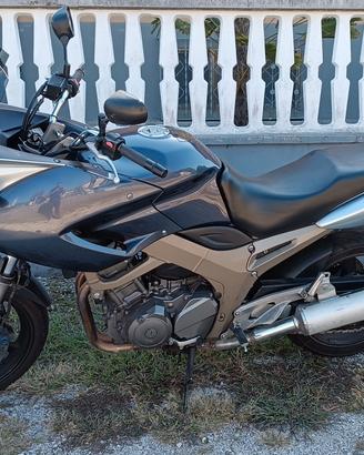 Yamaha TDM 900