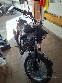 beta custum