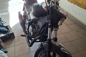 beta custum