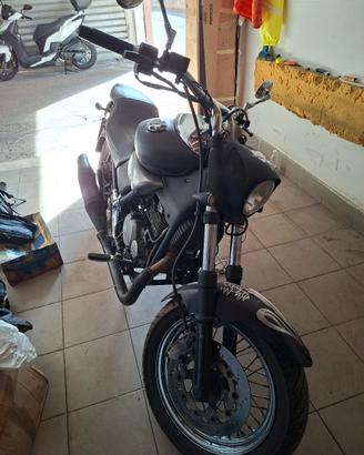 beta custum