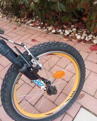 Bici ragazzo