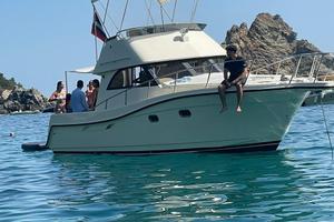 Barca cabinata MOTORI NUOVI