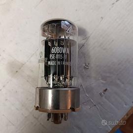 Valvola Thompson CSF-6080WA