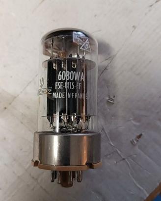 Valvola Thompson CSF-6080WA