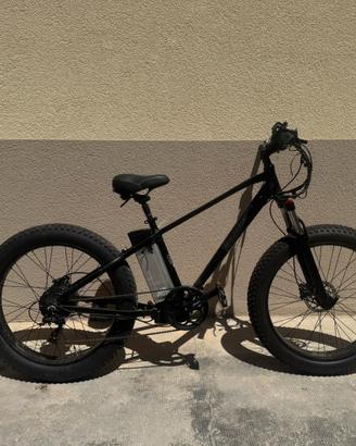 Bici elettrica