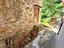 Immagine 14