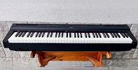 yamaha p 121