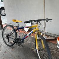 Bici gialla mtb
