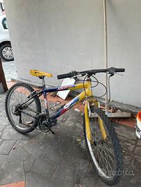 Bici gialla mtb