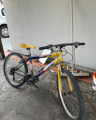 Bici gialla mtb