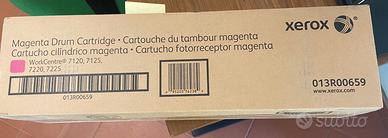 Tamburo Magenta XEROX